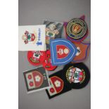 Southampton FC & Hampshire FA - Group of blazer & shirt badges from 1920's onwards (15)