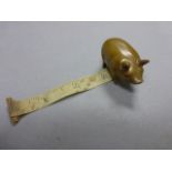 An early 20th century novelty measuring tape in the form of a pig