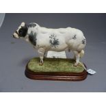 Border Fine Arts - B0406 Belgian Blue Bell on wooden base with certificate