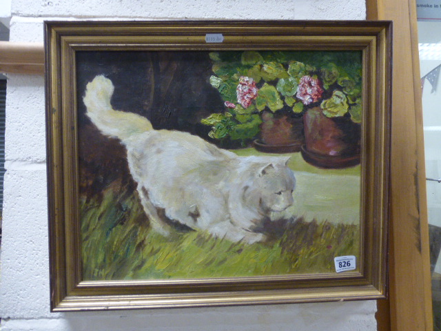 Oil on Panel of a White Persian Cat