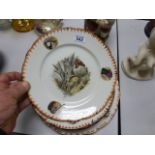 Collection of Ten Limcolor Dinner Plates and a Serving Plates decorated with various hunting scenes