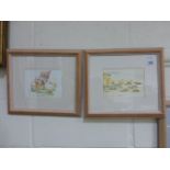 Two Sandra Coen watercolours framed and glazed