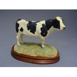 Boxed Border Fine Arts - Holstein Bull model No. B0308 by K Armstrong on wood base with