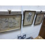 Set of three early 20th Century finely painted watercolour studies of Australian birds