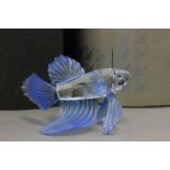 Boxed Swarovski Siamese Fighting Fish, 7644-000-005