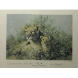 *David SHEPHERD (b.1931) Limited edition coloured print ‘Quiet Time’ – Lioness & cub Numbered 119/