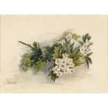 O* G ---, (19th Century English School), Watercolour, Botanical study, Signed with initials &