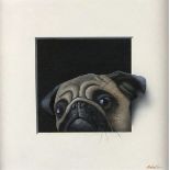 Alan WESTON (b.1951), Oil on board, 'Ozzie the Pug', Signed, 13" x 13" (33cm x 33cm)