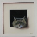 Alan WESTON (b.1951), Oil on board, 'Co-Co' - study of a cat's head, Signed, Unframed with trompe-