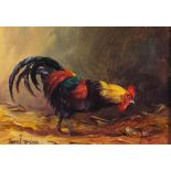 * Donna CRAWSHAW (b.1960), Oil on canvas, A cockerel scratching in the dust, Signed, 6.5" x 9.5" (