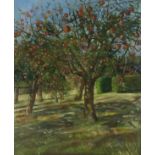 Susan WINTERS (b.1942), Oil on board, The Orchard Bicton East Budleigh, Signed with initials, 19.25"