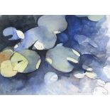 * Diana Van LOOCK (b.1936), Watercolour, 'Shadows on Lily leaves', Inscribed on label, Signed &