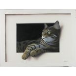 Alan WESTON (b.1951), Oil on board, 'Mo-Mo' a relaxing cat, Signed, Unframed with trompe-l'oeil