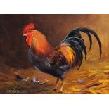 * Donna CRAWSHAW (b.1960), Oil on canvas, a cockerel in a barn, Signed, 6.5" x 9.5" (16.5cm x 24.