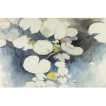 * Diana Van LOOCK (b.1936), Watercolour, 'Lily leaves on pond', Inscribed on label, Signed &