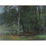 20th Century English School, Pastel, A woodland path by a river, 15" x 20.25" (38cm x 51.4cm)