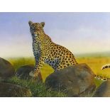 * Alan WESTON (b.1951), Gouache, Leopard in the Masai Mara, 14.75" x 19" (37.5cm x 48.3cm)