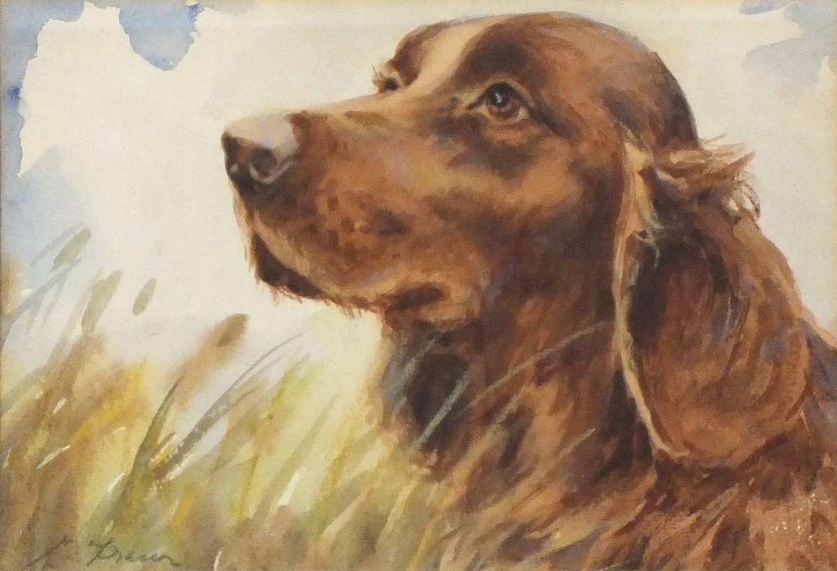 L* FRASER, Watercolour, Portrait of an Irish Red Setter, Signed, 6.25" x 9" (16cm x 23cm)