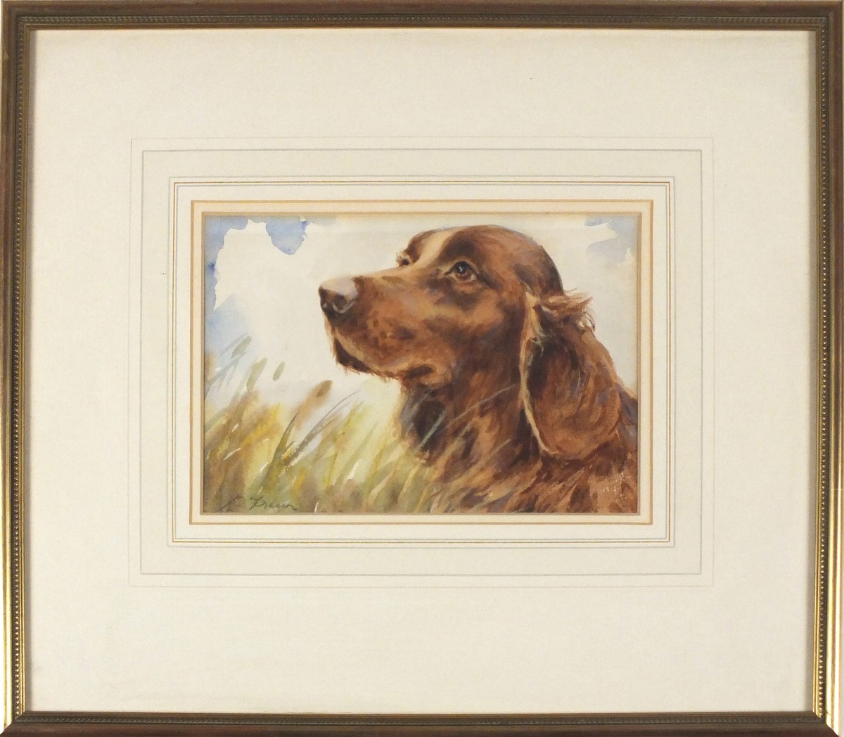 L* FRASER, Watercolour, Portrait of an Irish Red Setter, Signed, 6.25" x 9" (16cm x 23cm) - Image 2 of 2