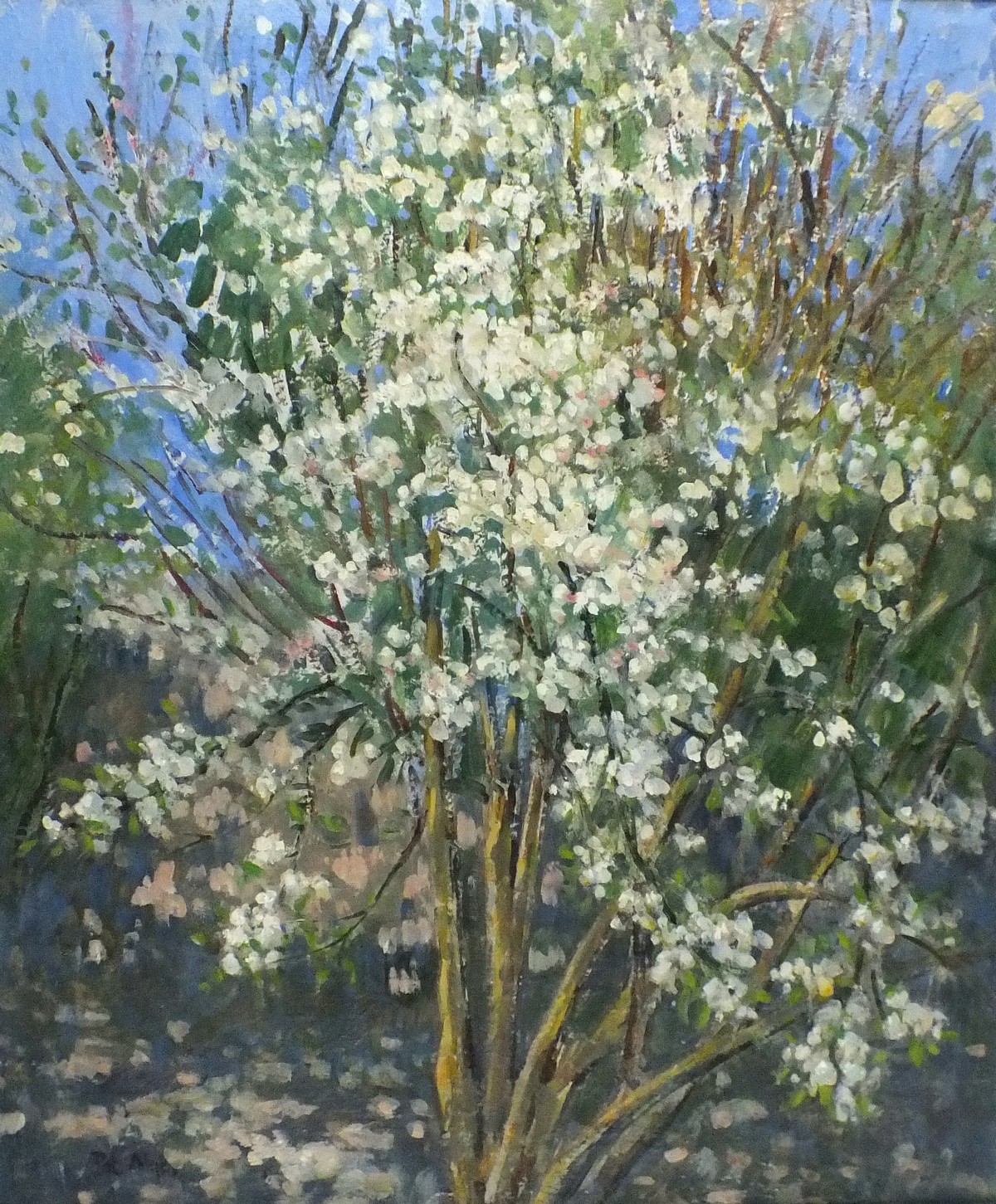 Pat ALGAR (1939-2013), Oil on canvas, 'White Blossom', Inscribed & signed to verso, Signed,