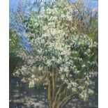 Pat ALGAR (1939-2013), Oil on canvas, 'White Blossom', Inscribed & signed to verso, Signed,