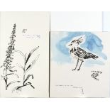 * Philip SUTTON (b.1928), Ink & wash drawing, 'Northern Lapwing', Inscribed, signed & dated 1998,