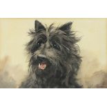 L* FRASER, Watercolour, Portrait of a Cairn Terrier, Signed, 6.25" x 9.25" (16cm x 23.5cm)