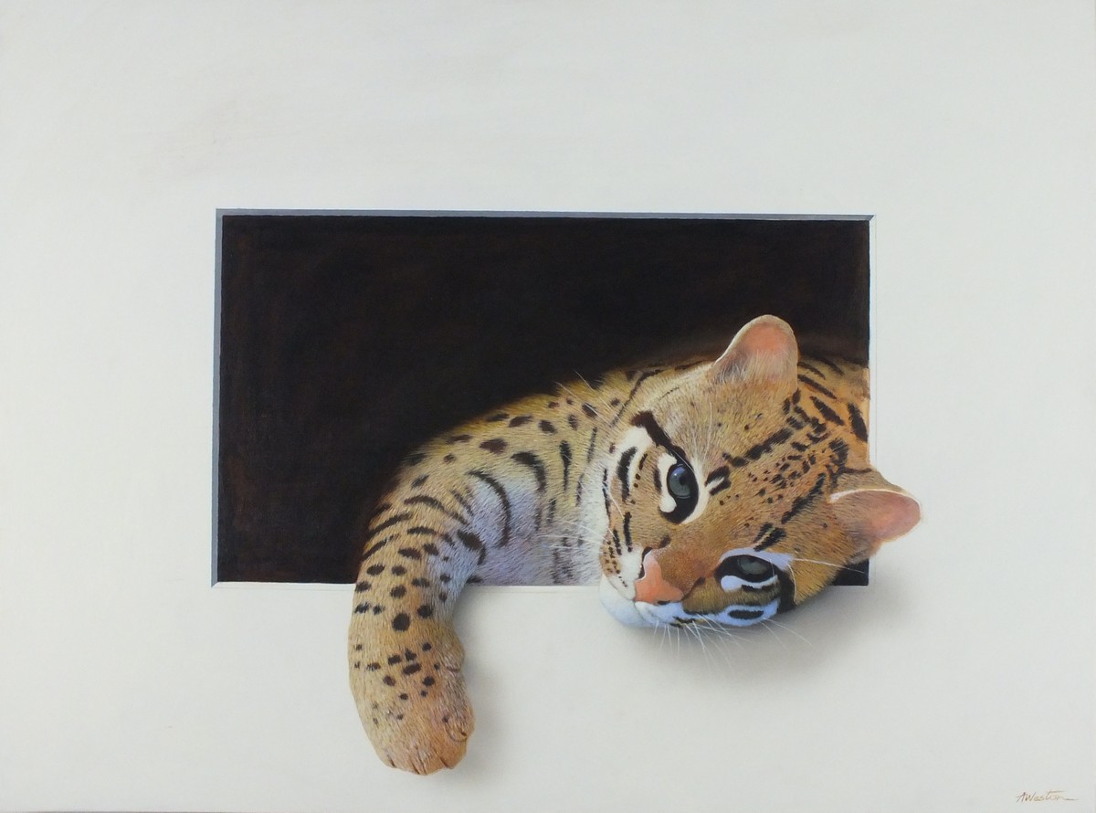 Alan WESTON (b.1951), Oil on board, 'Ocelot', Signed, Unframed, 18.25" x 24" (46.3cmx 61cm)