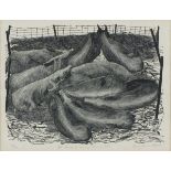 * Sarah Van NIEKERK (b.1934), Limited edition woodcut, 'Mr Henson's Young Tamworth's, Inscribed to