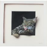 Alan WESTON (b.1951), Oil on board, 'Mo-mo II' - cat portrait with trompe-l'oeil 'frame', Signed,