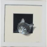 Alan WESTON (b.1951), Oil on board, 'Tilly' - portrait of a kitten with trompe-l'oeil 'frame',
