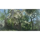Pat ALGAR (1937-2013), Oil on board, Springtime - apple tree in full bloom, Bears studio stamp,