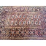 Belouche rug with 2 rows of 9 guls 6'3” x 4'4”