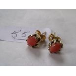 Pair gold coral ear studs