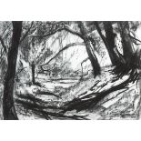 Eithne Carr RHA (1946-2014) LANDSCAPE charcoal signed lower right 23½ x 33½in. (59.69 x 85.09cm)