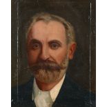 Portrait of Patrick Aloysius Meehan (1852-1913) Irish Parliamentary Party MP for Leix Division of