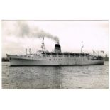 Picture postcards: a large collection of ships in albums, 1920s to 1970s, mainly company issues. (