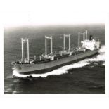 Ships: a collection of photographs and ephemera. (100s) Includes shipping company press photographs,