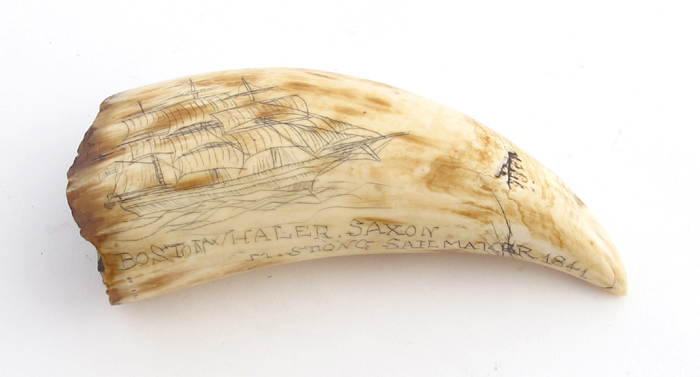 Scrimshaw A sailor's scrimshaw whale's tooth, one side decorated with a three masted ship, the verso