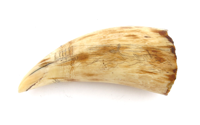 Scrimshaw A sailor's scrimshaw whale's tooth, one side decorated with a three masted ship, the verso - Image 2 of 2