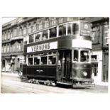 Trams and buses, a collection of photographs 140 colour and black and white photographs of trams and