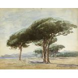 Nathaniel Hone RHA (1831-1917) STONE PINES watercolour inscribed on Dawson Gallery label on