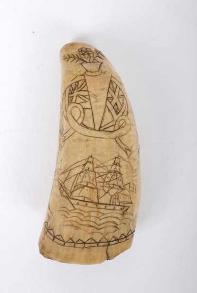 Sailor's scrimshaw. A sailor's scrimshaw whale's tooth, one side decorated with a two-masted ship