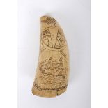 Sailor's scrimshaw. A sailor's scrimshaw whale's tooth, one side decorated with a two-masted ship