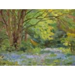 Frederick William Hull (1867-1953) BLUEBELLS IN BELVOIR PARK [BELFAST] oil on canvas board signed