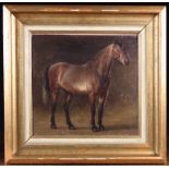 An Oil on Board: Portrait of a Bay Horse in Stable,