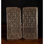 A Good Pair of 15th Oak Panels carved with intricate Gothic tracery,