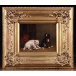 Conradyn Cunaeus (1828-1895). An Oil on Panel depicting two dogs, signed bottom right C.