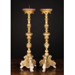 A Pair of Italian Carved Giltwood Pricket Candle-stands.