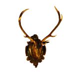 An Impressive Life Size Wooden Stag's Head carved in intricate detail and having inset antlers and